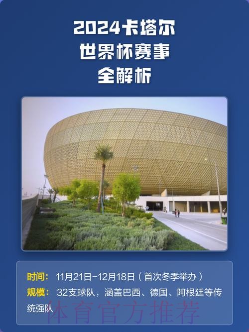 全面解析世界杯赛事平台功能与优势