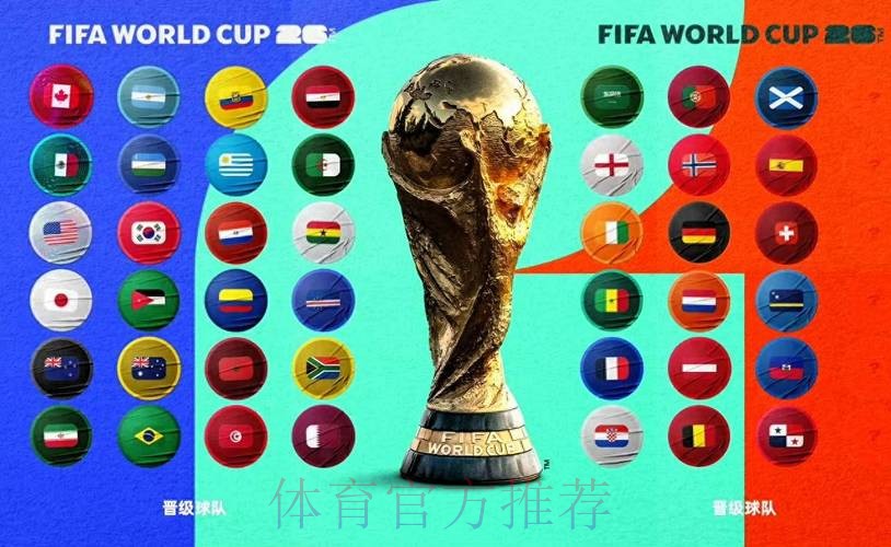 2026年世界杯买球平台排行解析 2026年世界杯买球平台排行解析